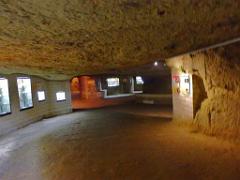 149 MUSEE DU CHAMPIGNON A  SAUMUR 2016 2_000019